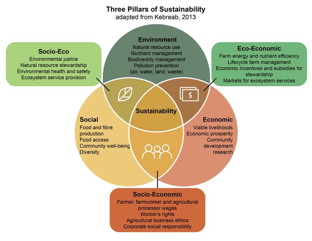 Venn diagram of the three pillars of sustainability: Environment, Economic, & Social with Sustainability at the heart of all three intersections