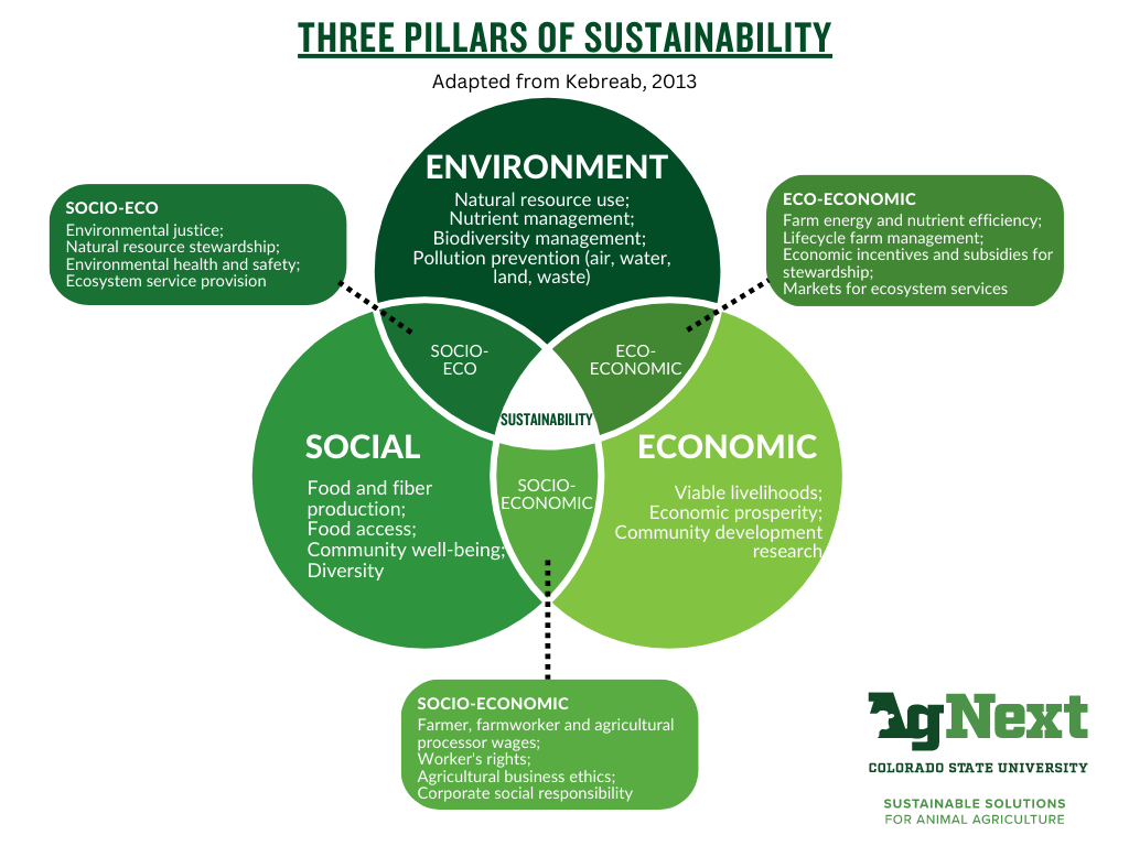 Pillars of Sustainability