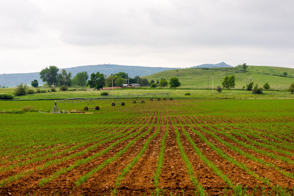 Field with a pivot