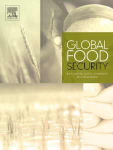 Global Food Security cover